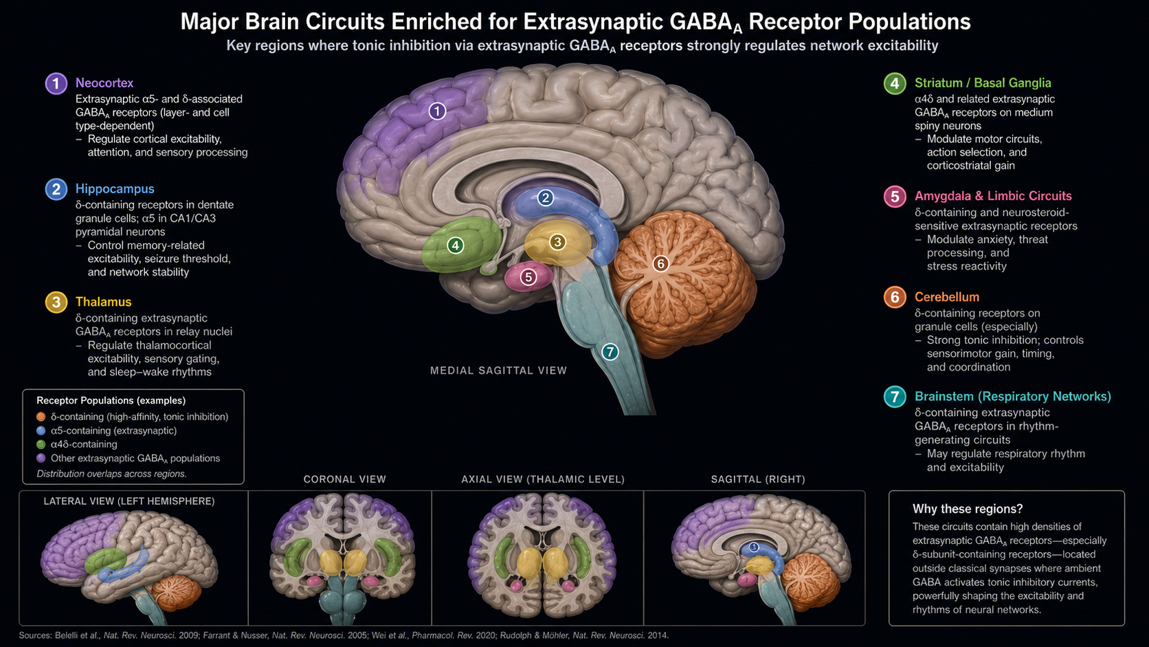 An image showing the main GABAA extrasynaptic receptor populations